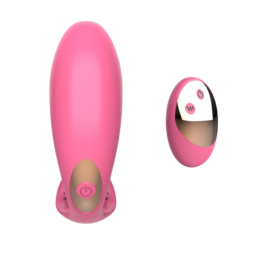 Vibrador Duplo em Silicone Luna Pink com controle sem fio, vista superior, destacando o vibrador maior � esquerda e o controle remoto � direita, ambos na cor pink.